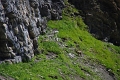 24h Hike Mammut_Ochsner 'Grosse Scheidegg _ Schwarzhorn 2927m' 18_08_2012 (154)